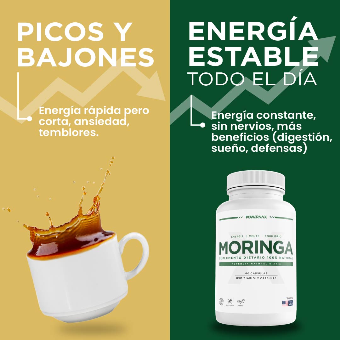 Moringa Powernax 500 mg – Energía limpia, sin cafeína ni crash