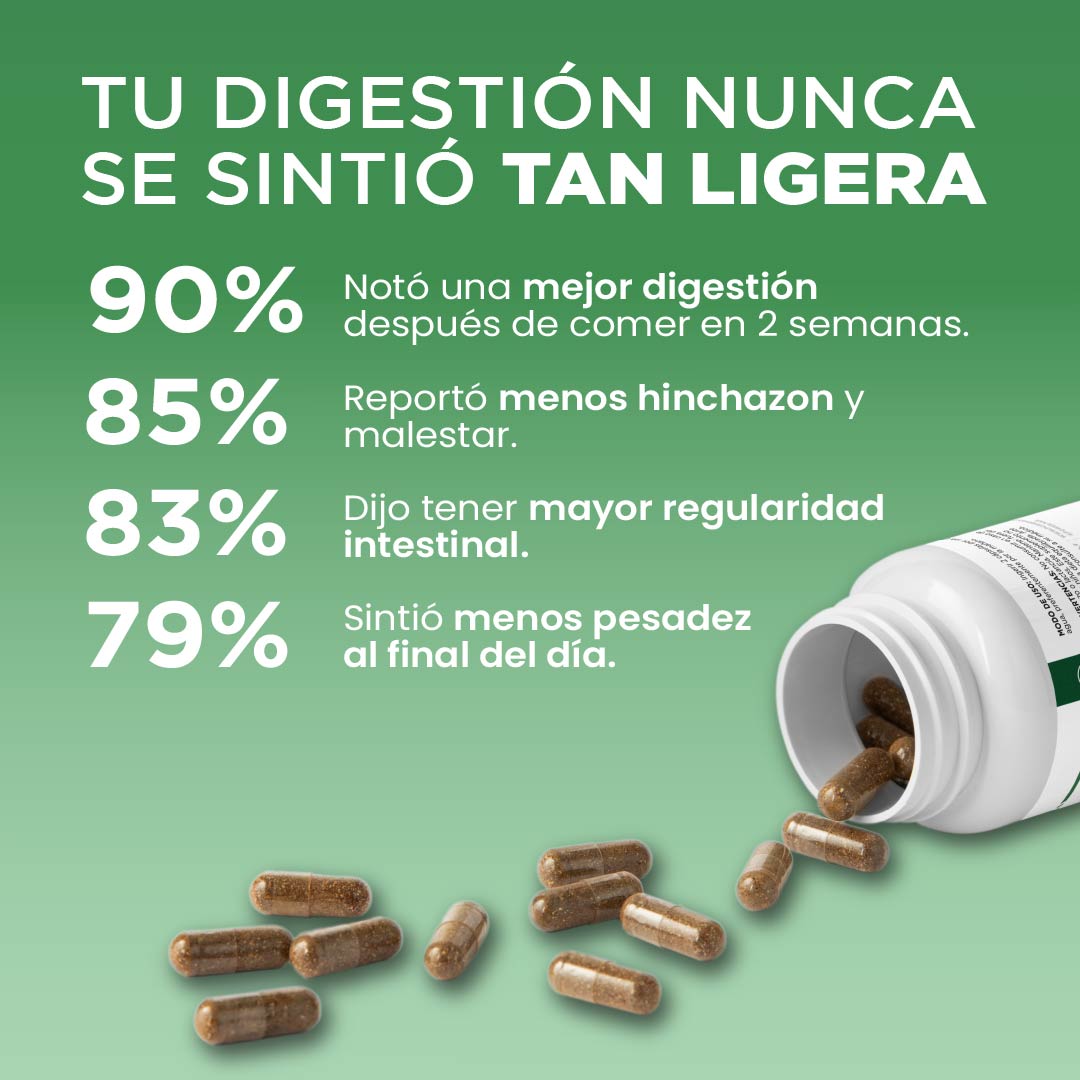 Moringa Powernax 500 mg – Energía limpia, sin cafeína ni crash