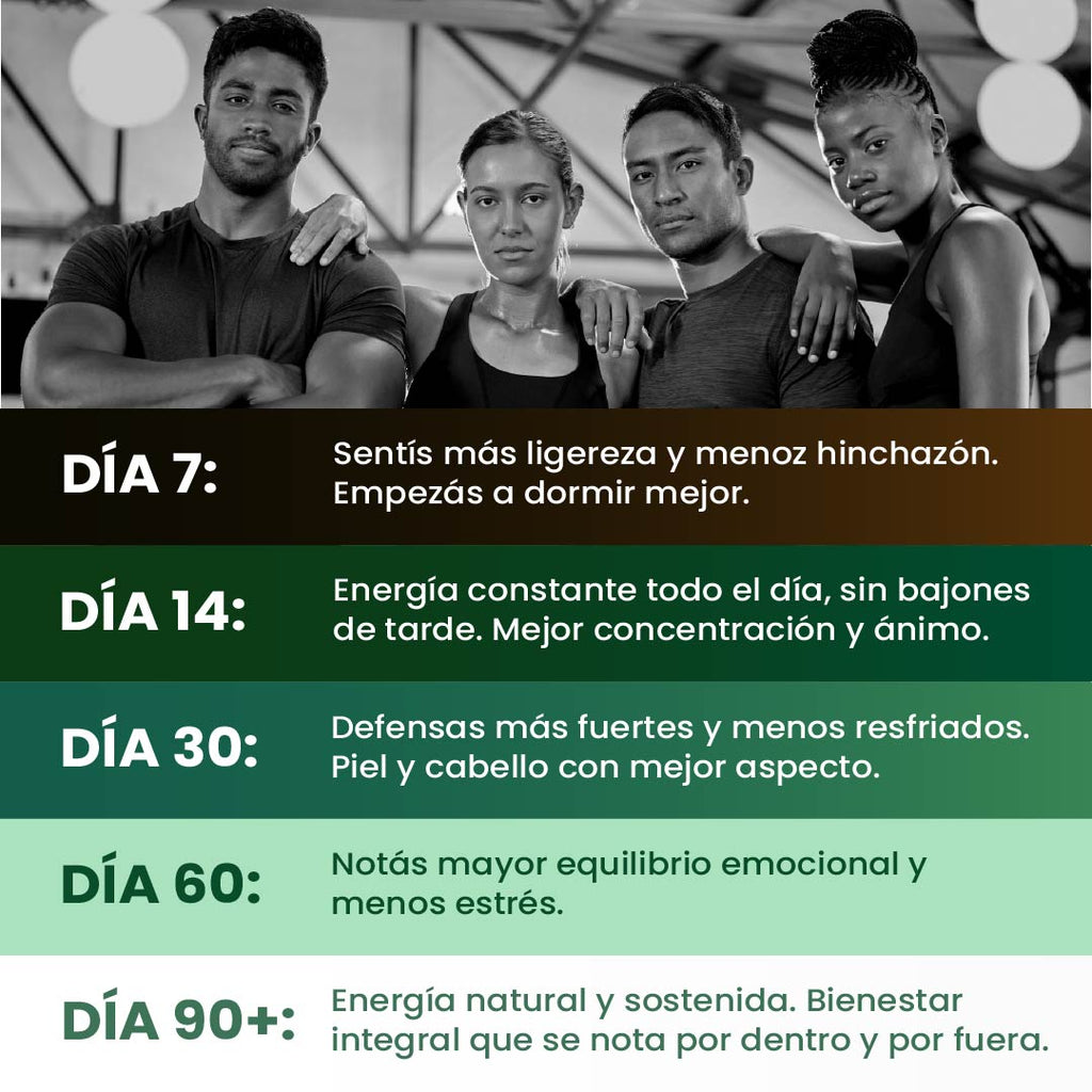 Moringa Powernax 500 mg – Energía limpia, sin cafeína ni crash